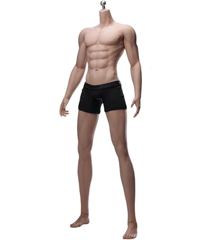 Amazon.co.jp: 【Tbmodel 】ACGTOYS 1/6 フィギュア 男性 バスト